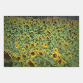Sonnenblumen Geschenkpapier Set (Vorderseite 3)