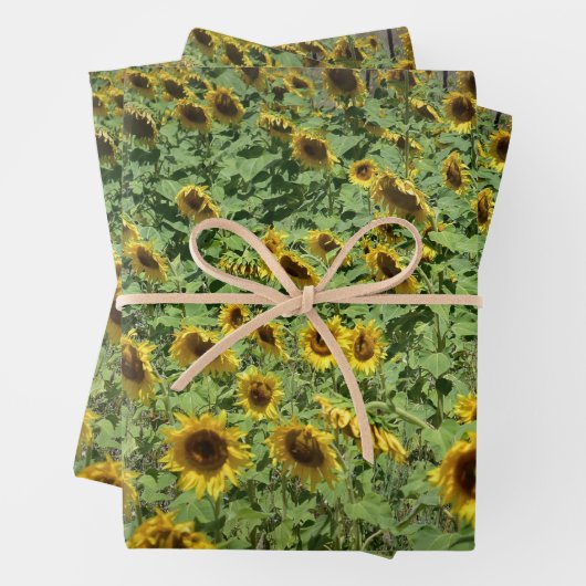 Sonnenblumen Geschenkpapier Set (Beispiel)