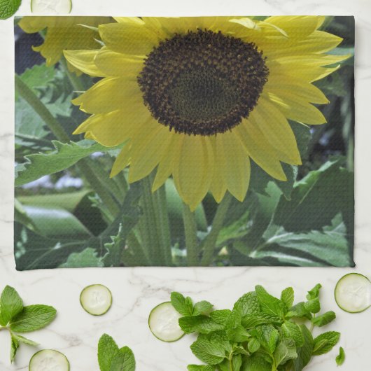 Sonnenblumen Geschirrtuch (Gefaltet)