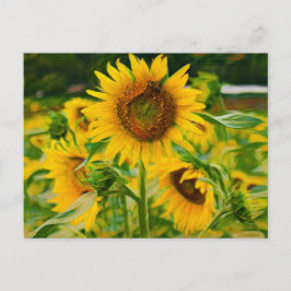 Sonnenblumen gestrichen postkarte