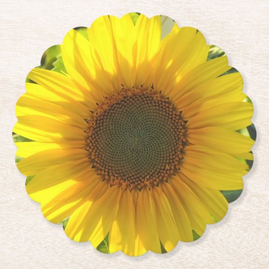 Sonnenblumen-Glanz Untersetzer (Vorderseite)