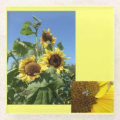 Sonnenblumen Glas Untersetzer (Vorderseite)