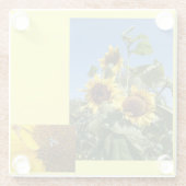 Sonnenblumen Glas Untersetzer (Rückseite)