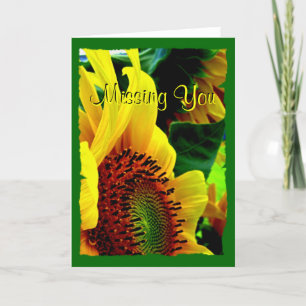 Sonnenblumen Grußkarte 003 Karte