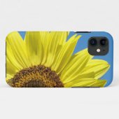 Sonnenblumen Handy Fälle Blue Sky deckt Case-Mate iPhone Hülle (Rückseite (Horizontal))