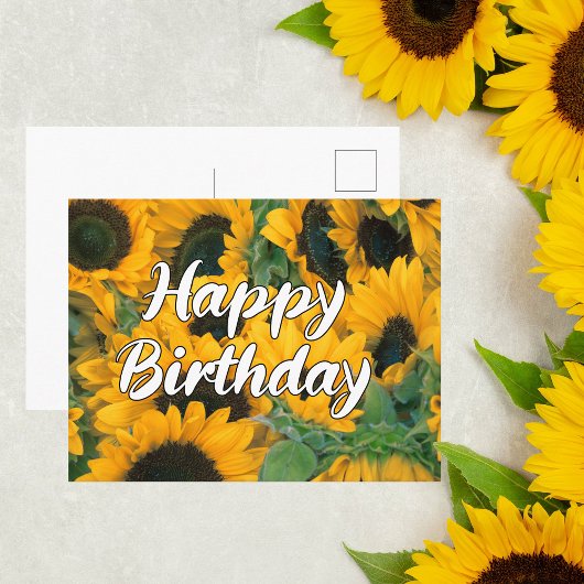 Sonnenblumen Happy Birthday Postcard Postkarte