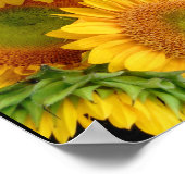 Sonnenblumen Happy Yellows Poster Wall Deco (Ecke)