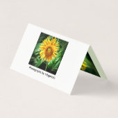 Sonnenblumen-Herrlichkeit (Rückseite)