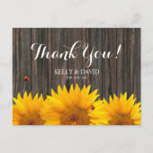 Sonnenblumen Hochzeit Danke Ladybug Barn Wood Postkarte (Vorderseite)
