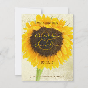 Sonnenblumen-Hochzeit mit deprimiertem Damast spei Save The Date