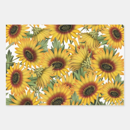 Sonnenblumen Holz Büffel Kariert Geschenkpapier Set (Vorderseite 3)