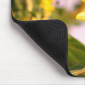 Sonnenblumen im RHS Wisley Botanischer Garten Mousepad (Ecke)