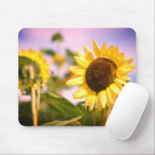 Sonnenblumen im RHS Wisley Botanischer Garten Mousepad (Mit Mouse)