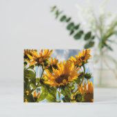 Sonnenblumen im Sommer Feiertagspostkarte (Stehend Vorderseite)