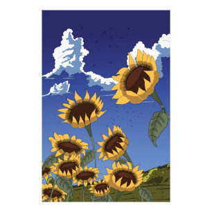 Sonnenblumen im Sommer Fotodruck