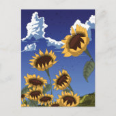 Sonnenblumen im Sommer Postkarte (Vorderseite)