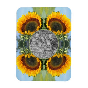 Sonnenblumen im Sonnenschein kreieren Ihr eigenes Magnet