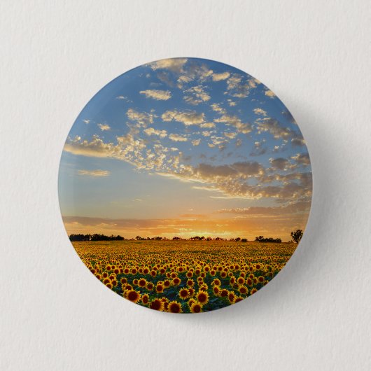 Sonnenblumen im Sonnenuntergang Button (Vorderseite)