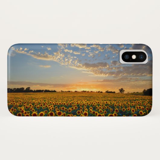 Sonnenblumen im Sonnenuntergang Case-Mate iPhone Hülle (Rückseite (Horizontal))