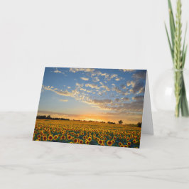 Sonnenblumen im Sonnenuntergang Karte