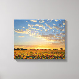 Sonnenblumen im Sonnenuntergang Leinwanddruck