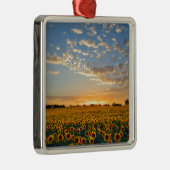Sonnenblumen im Sonnenuntergang Ornament Aus Metall (Rechts)