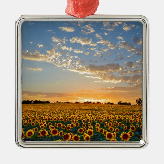 Sonnenblumen im Sonnenuntergang Ornament Aus Metall (Vorne)