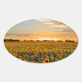 Sonnenblumen im Sonnenuntergang Rechteckiger Aufkleber