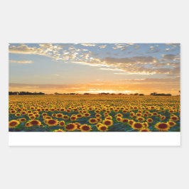 Sonnenblumen im Sonnenuntergang Rechteckiger Aufkleber