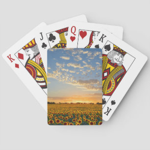 Sonnenblumen im Sonnenuntergang Spielkarten