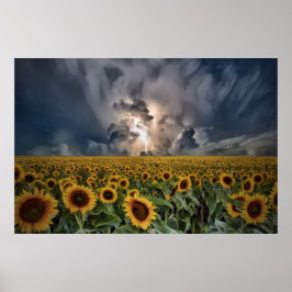 Sonnenblumen im Sturm Poster