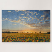Sonnenblumen im Sunset Jigsaw Puzzle (Horizontal)