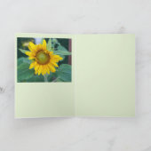 Sonnenblumen im Überfluss Karte (Innenseite)