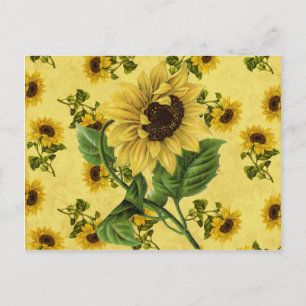 Sonnenblumen im Vintage-Stil Postkarte