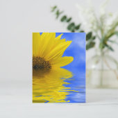 Sonnenblumen im Wasser Postkarte (Stehend Vorderseite)