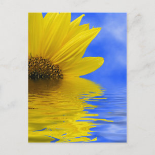 Sonnenblumen im Wasser Postkarte