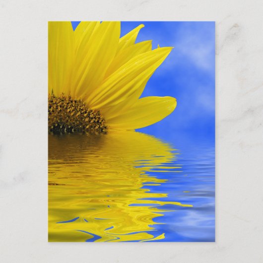 Sonnenblumen im Wasser Postkarte (Vorderseite)