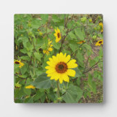 Sonnenblumen im Wind, Fotoplatte (Vorderseite)