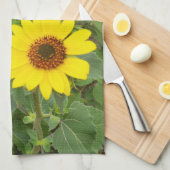 Sonnenblumen im Wind, Geschirrtuch (Viertel Falte)