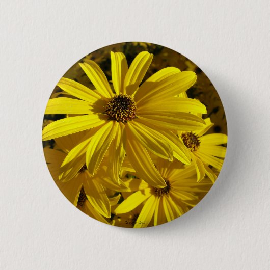 Sonnenblumen im Zoo Button (Vorderseite)