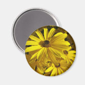 Sonnenblumen im Zoo Magnet (Vorderseite/Rückseite)