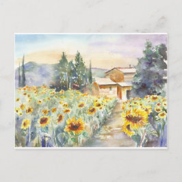 Sonnenblumen in der Provence Postkarte