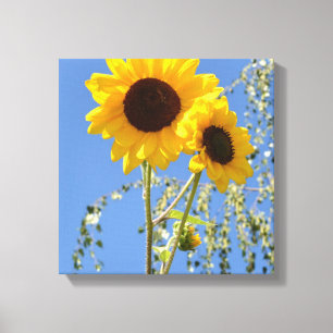Sonnenblumen in der Sky Canvas Print Leinwanddruck