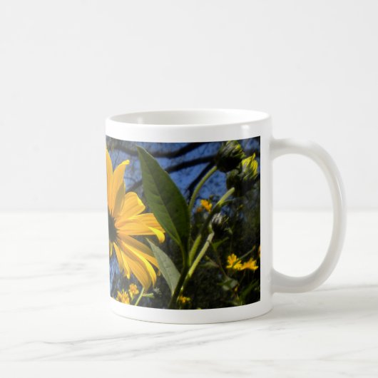Sonnenblumen in der Sky Tasse (Rechts)