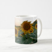 Sonnenblumen in der Tasse (VorderseiteRechts)