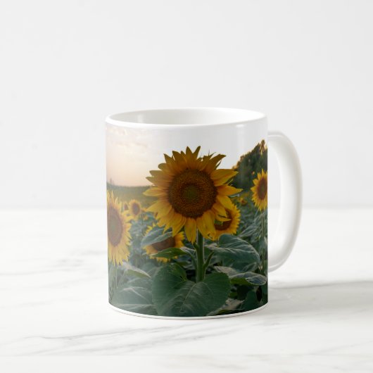 Sonnenblumen in der Tasse (VorderseiteRechts)
