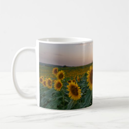 Sonnenblumen in der Tasse (Links)