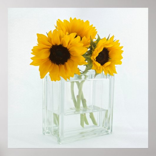 Sonnenblumen in einem Vase-Poster Poster (Vorne)