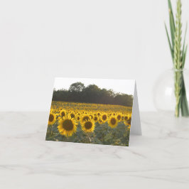 Sonnenblumen in Frankreich Feiertagskarte