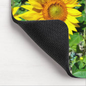 Sonnenblumen in Frankreich schließen Mousepad (Ecke)